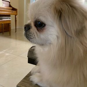 Meet your Posher, Moon